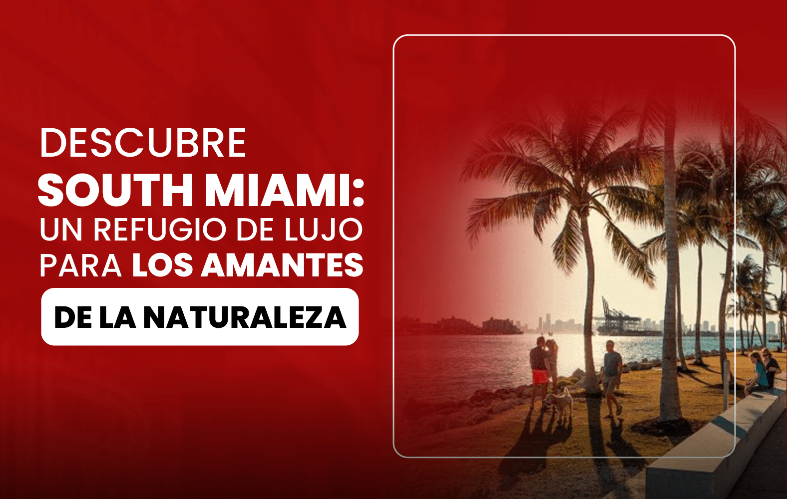 Descubre South Miami: un Refugio de lujo para los amantes de la naturaleza